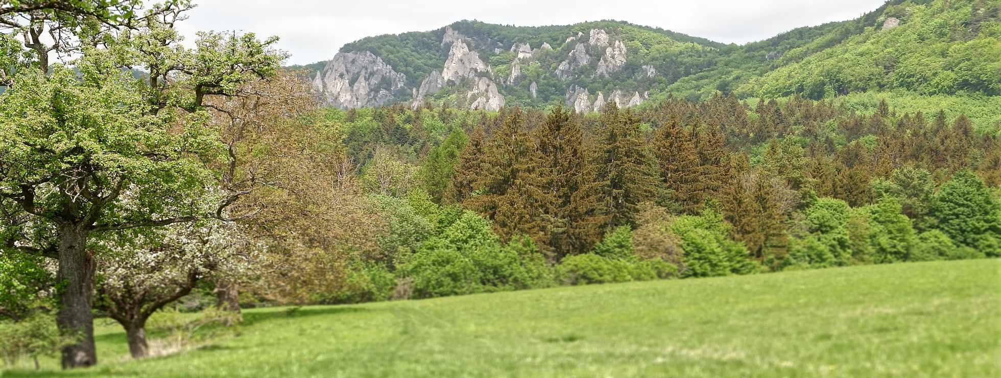 Nahľad trasy popri výstupe na Roháčske sedlo